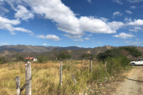 lote-en-urbanizacion-bosque-nativo