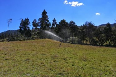 property-ii-in-la-teneria