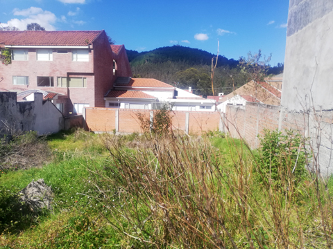 lote-en-urbanizacion-rodriguez-witt