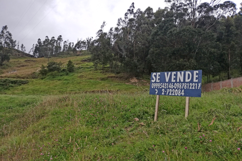lot-via-a-zamora